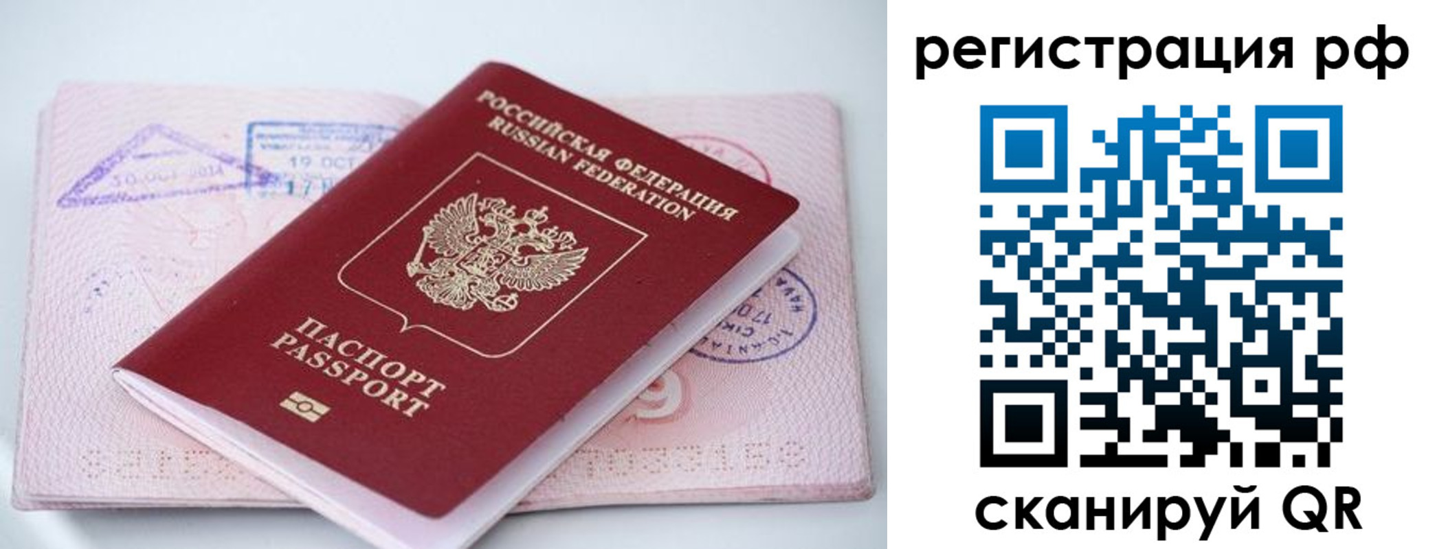 прописка штамп в Тосно